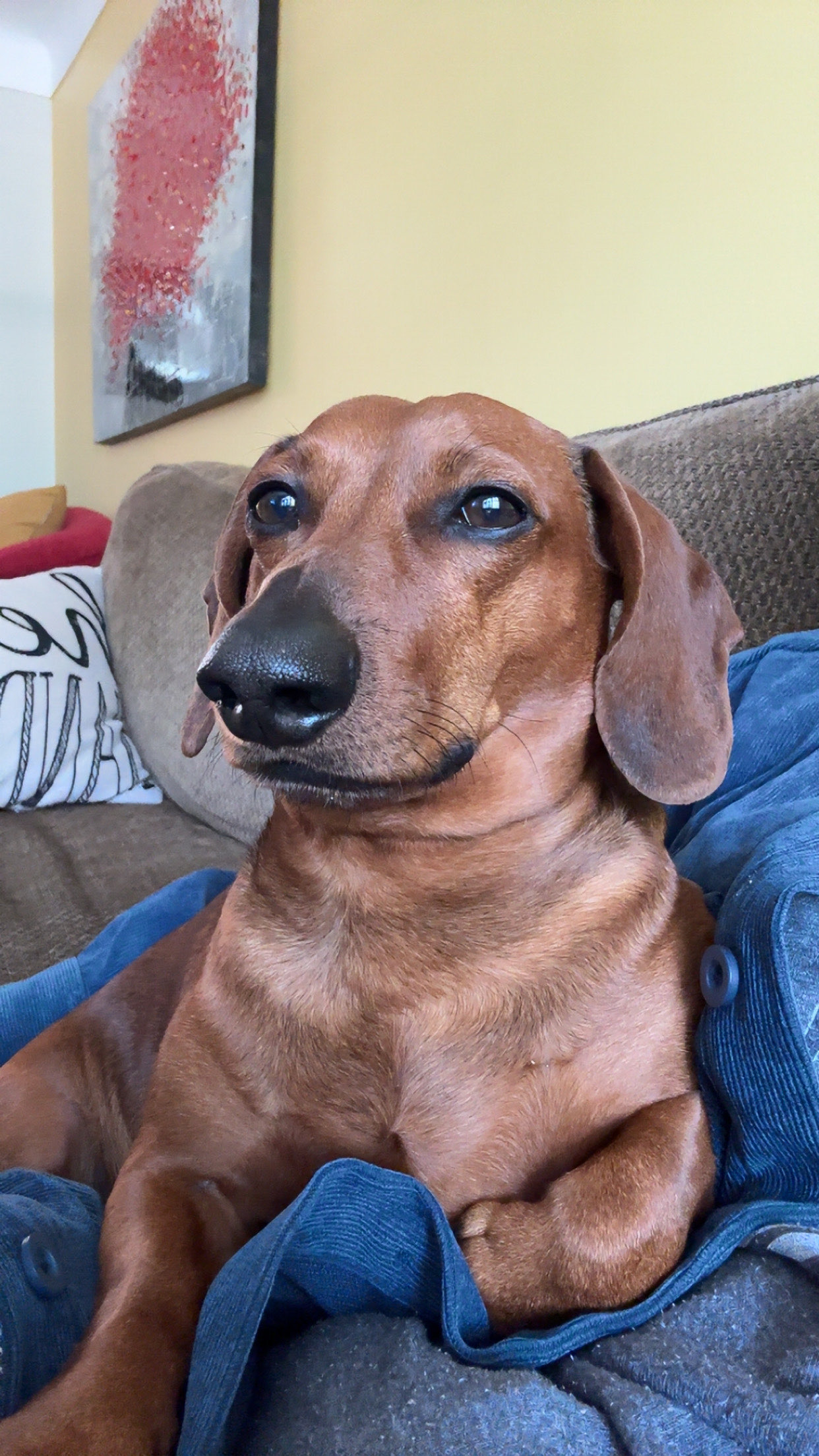 Athena Drake portrait